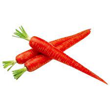 CARROT