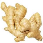 Ginger