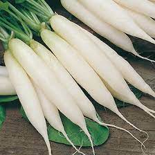RADISH