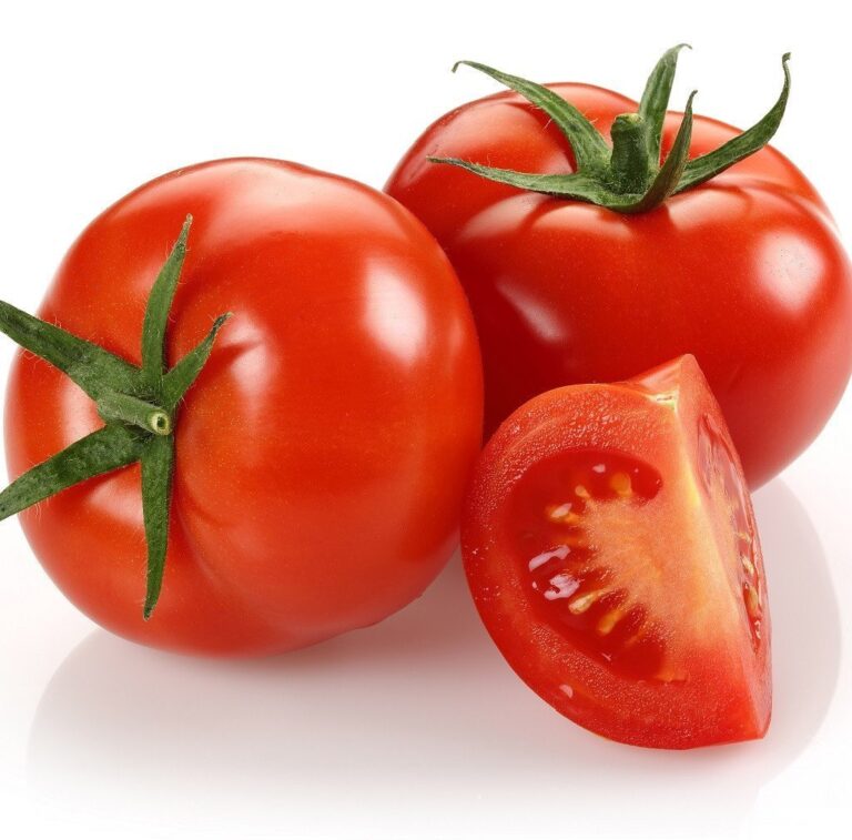 TOMATO
