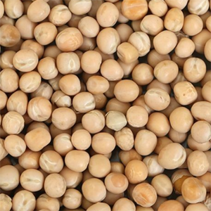MATAR White Matar 500g - Image 1
